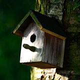  Birdhouse 