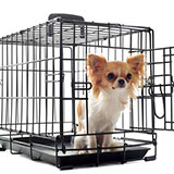  Cage 