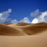  Desert 