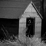  Kennel 