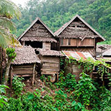  Stilt House 
