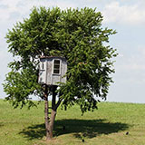  Treehouse 