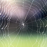  Web 