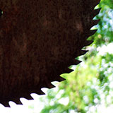  Jagged 
