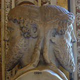  Janus 