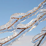  Freezing Rain 