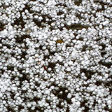  Hailstones 