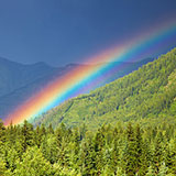  Rainbow 