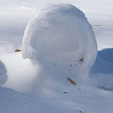  Snow Roller 