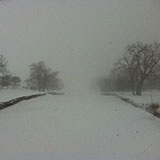  Snowstorm 