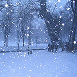  Snowy 