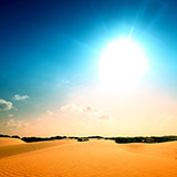  Sunny 