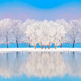  Wintry 