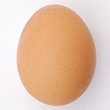 Ovoid 