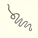  Squiggle 