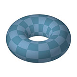  Torus 