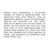 Jaws 
