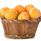  Apricot 