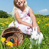 Easter Bunny 