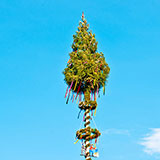  Maypole 
