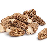  Morels 
