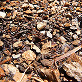  Mulch 