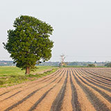  Ploughed 