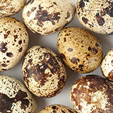  Quails Eggs 