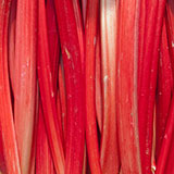  Rhubarb 