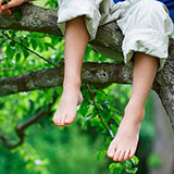 Tree Climbing 