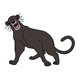  Bagheera 