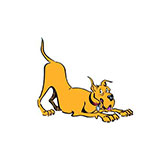  Marmaduke 