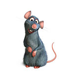  Remy 