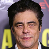  Benicio Del Toro 