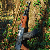  Kalashnikov 