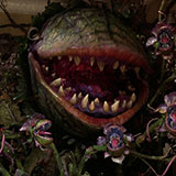 Audrey 2 