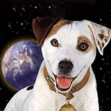  Wishbone 