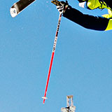  Ski Pole 
