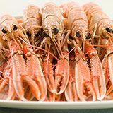  Langoustines 