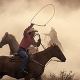  Lasso 