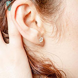  Lobe 
