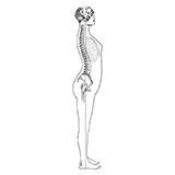  Lordosis 